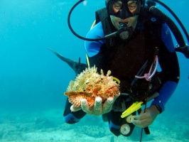 Arnie with a Scorpionfish IMG 3146